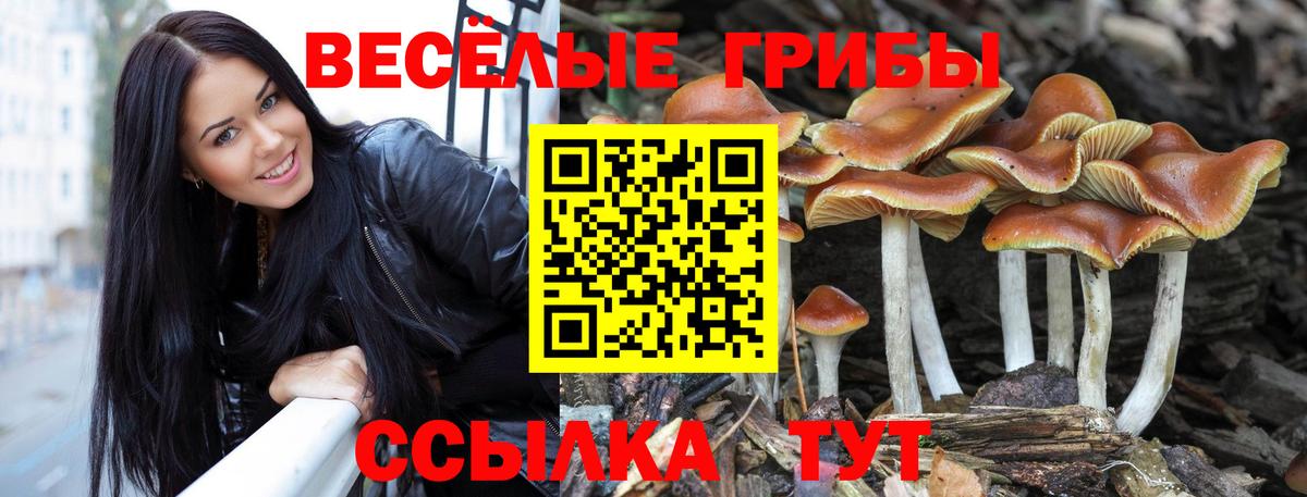 Псилоцибиновые грибы ЛСД  Псилоцибиновые грибы Psilocybe  Вход с VPN  Лянтор 